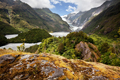 Franz Josef Glacier, New Zealand
